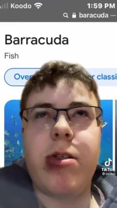 SO HALAL MODE MUCH FUNNY WOW LOL لذلك وضع الله!