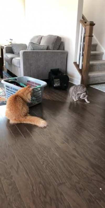 She’s a spicy little thing