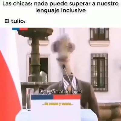 Un capo Tulio👌🏻