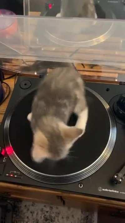 Found this weird record at the flea market can anyone ID?