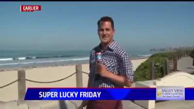 Big bug gives news reporter a big scare