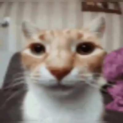 my reaction to that information