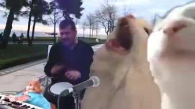 WSB Apes watching GME dipping on Monday be like: