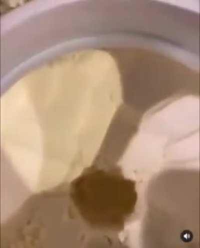 How to make gains rule 15: