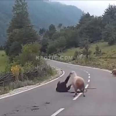 Man that’s a tough day