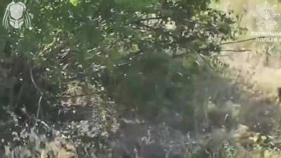 Ukrainian FPV operators from the Predator Brigade smoke out Russian dugout, and kills the Russian soldier who left the dugout. Near Toretsk, Donetsk Oblast. 06.2025