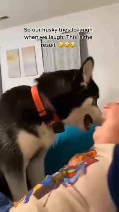 He tries to copy his laugh, isn't that lovely?