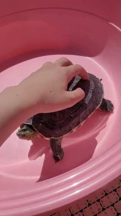 She could be a Tiktok influencer with that twerk