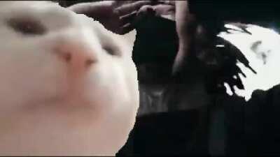 Me vibing to scar while he raps about murder and the end of the world