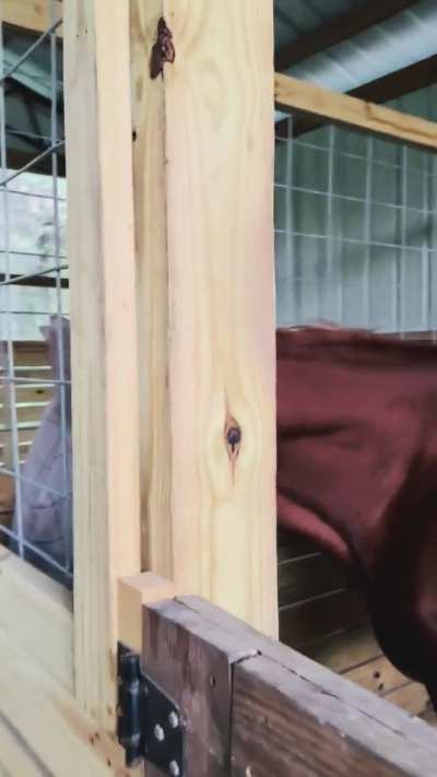 We all love the special ones