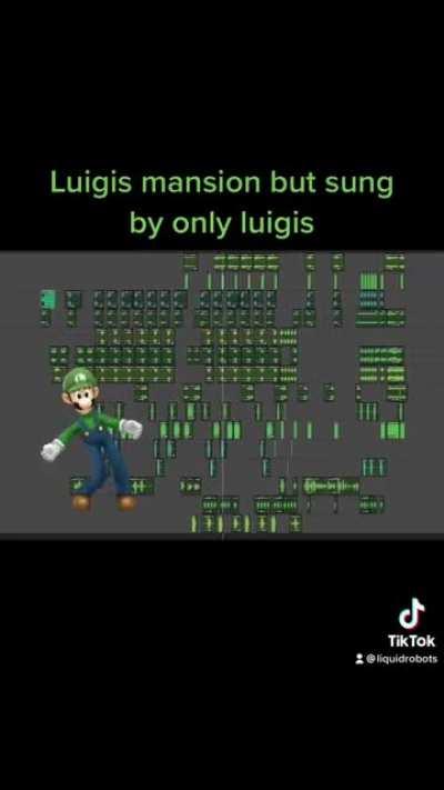 Luigi irl