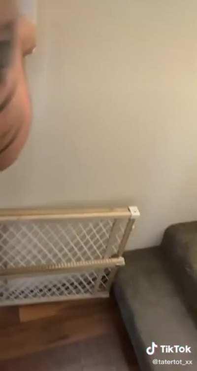 Why the light no worky