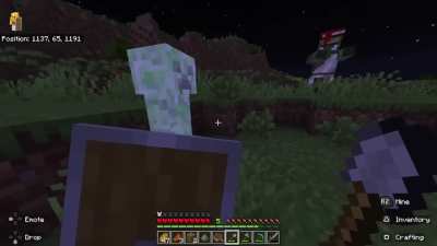 I was using creepers to get dirt blocks for the Nether and this happened