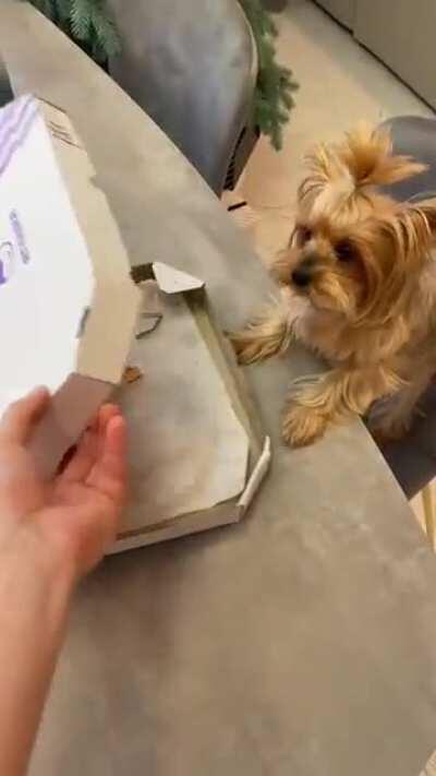 Not at all what you expected