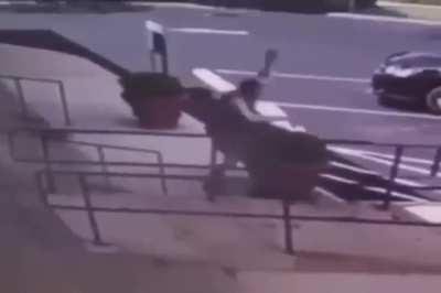 That plant was way too green