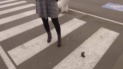 innocent cruelty - zebra crossing ecounters 1/2