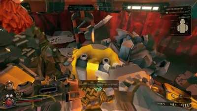 You Can Pet Doretta!