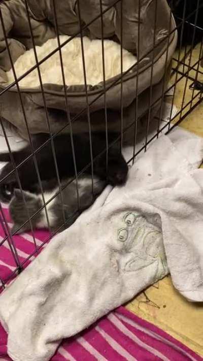 Criminal makes jail break!!