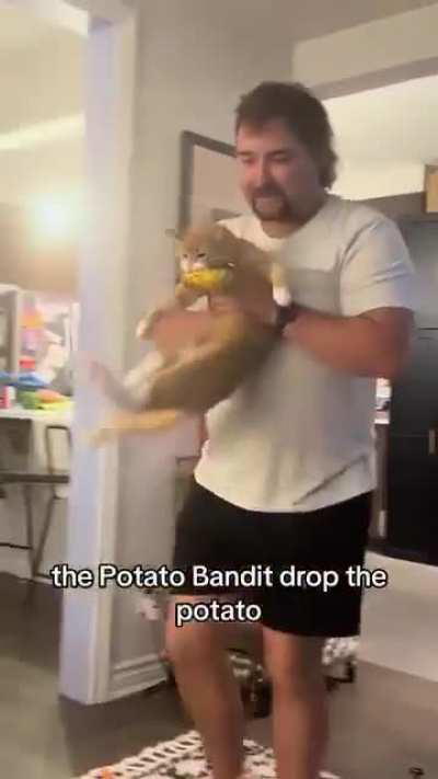 Potato bandit strikes again