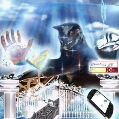 my cat really yabujin