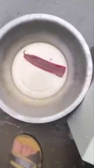 Eel Filleting Machine