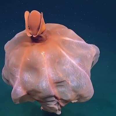 Elastagirl becoming a parachute for her kids