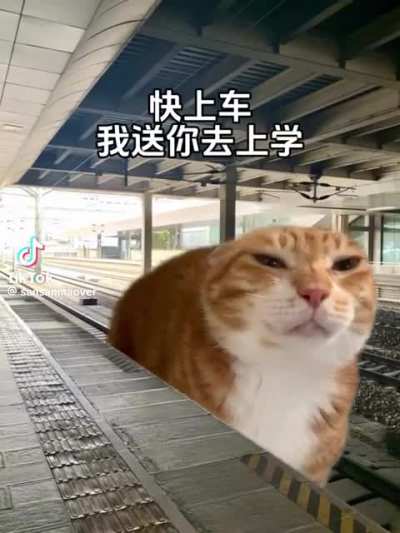 Public transpoyertation