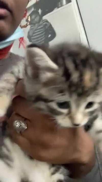 Update on Tuba❗️❗️