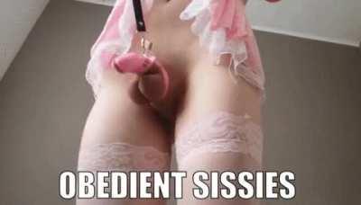 White Obedience in 2021