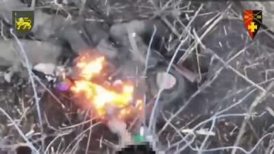 Drone operators from the 97th Battalion of the 60th Mechanized Inhulets Brigade of Ukraine eliminate Russian infantry. Lyman, northern Donetsk region