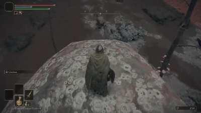 So this happened…. Why I hate Caelid😭