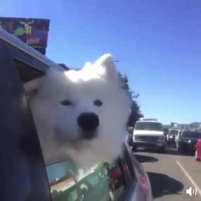 Notice the ambulance sounding in the background... hilarious :D