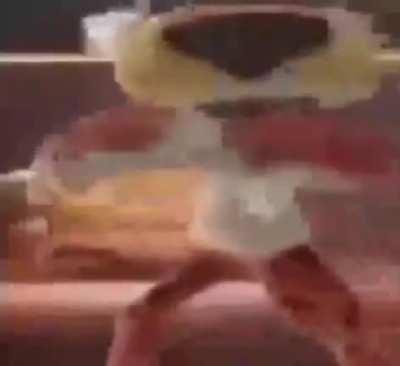 BeelcitosMemes - Video #9853