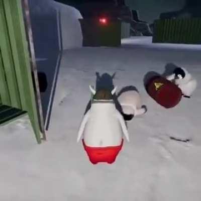 Penguins Being Penguins