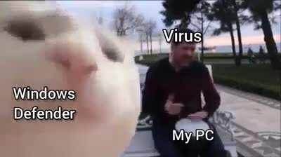 I can always depend on Windows Defender to get the job done right.