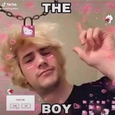 Credit: @mizkifupdates on TikTok