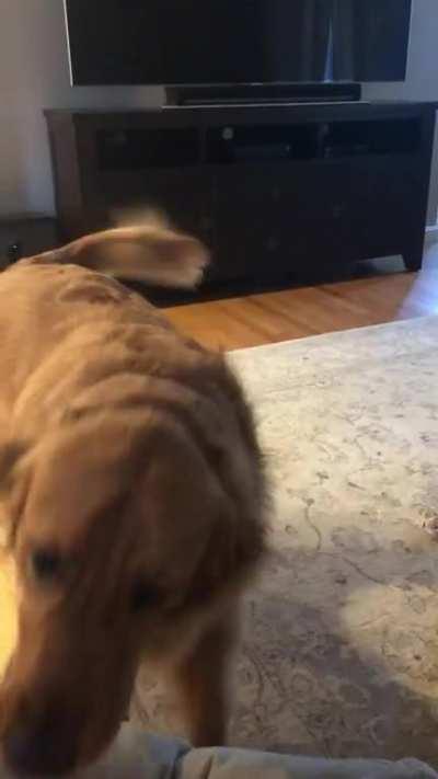 Very vocal about the no take