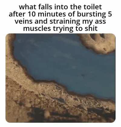 (i need to eat more fiber)