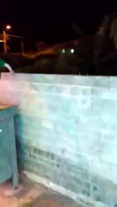 Cebolinha retrata o estado atual do brasileiro