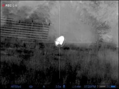 I eradicate hogs for the State of Texas- Pulsar Thermion with 450 Bushmaster on a 300+ lb Boar