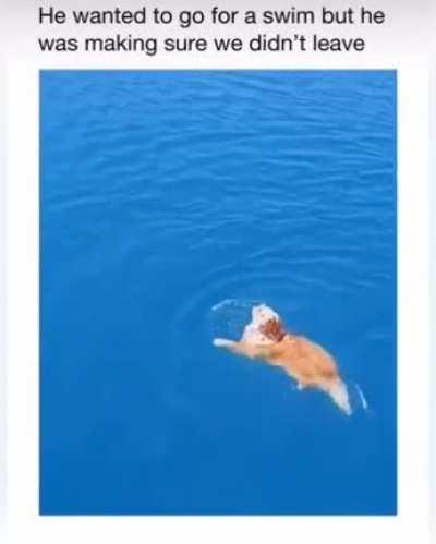 Don't leave me swimming style