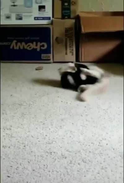 Did anyone see that?