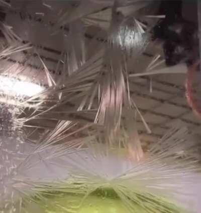 This spray-on ice crystal window frost