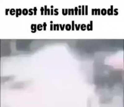 Let's see how long it takes 