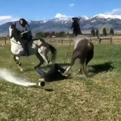 Opening champagne on horseback