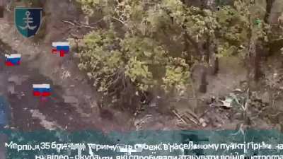 Russian assault squad met fierce resistance in the dugout of Ukraine's 35th Marine Brigade, causing them to flee and get caught in a crossfire. Hirnyk, Donetsk [10.2024]