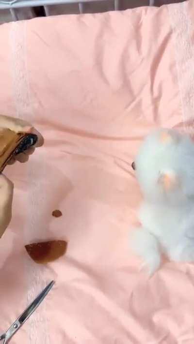 Design clothes for babies