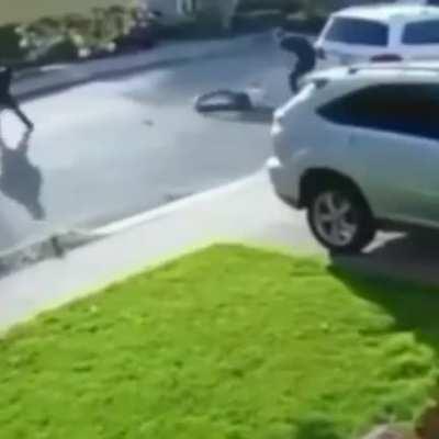 Idiot messes with vet