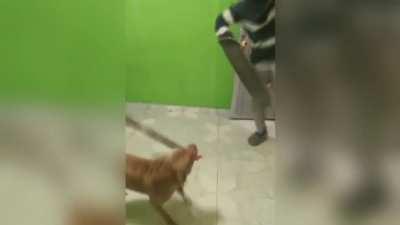 Zoro's technique doesn't make sense, they say...