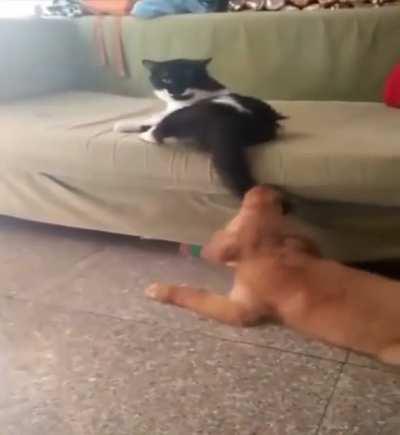 Not sure who‘s the bigger jerk here